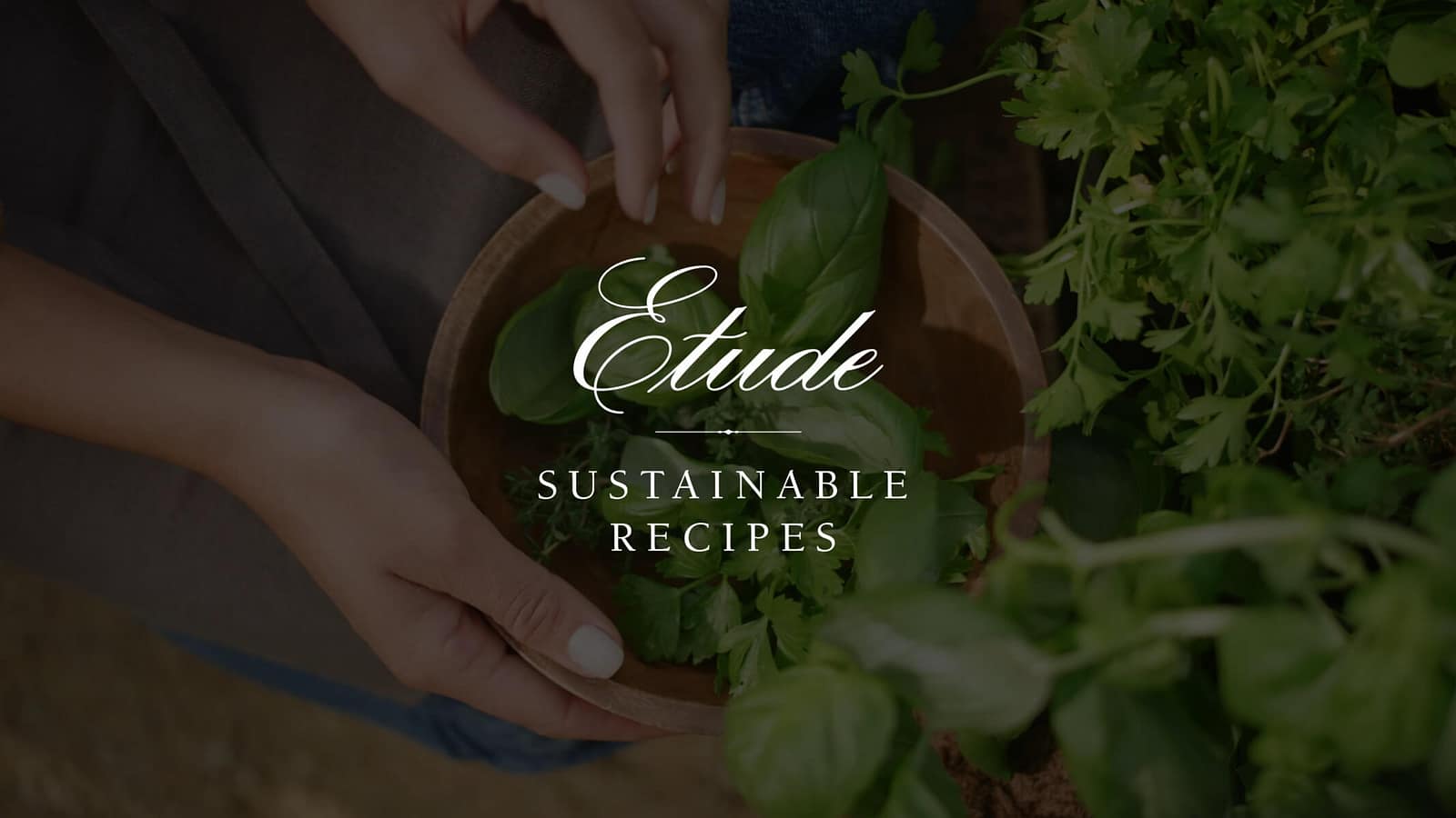 Etude Linguine Mussels Cover