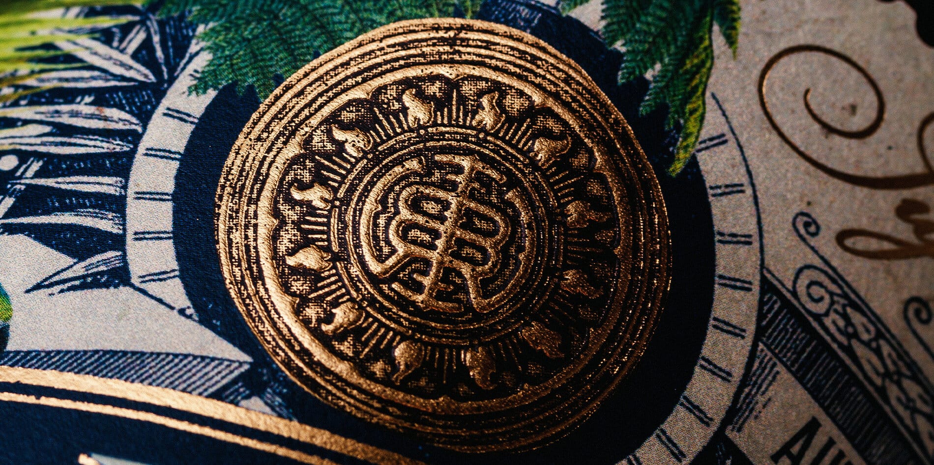 Rum Packaging Design for Barnacles Rum