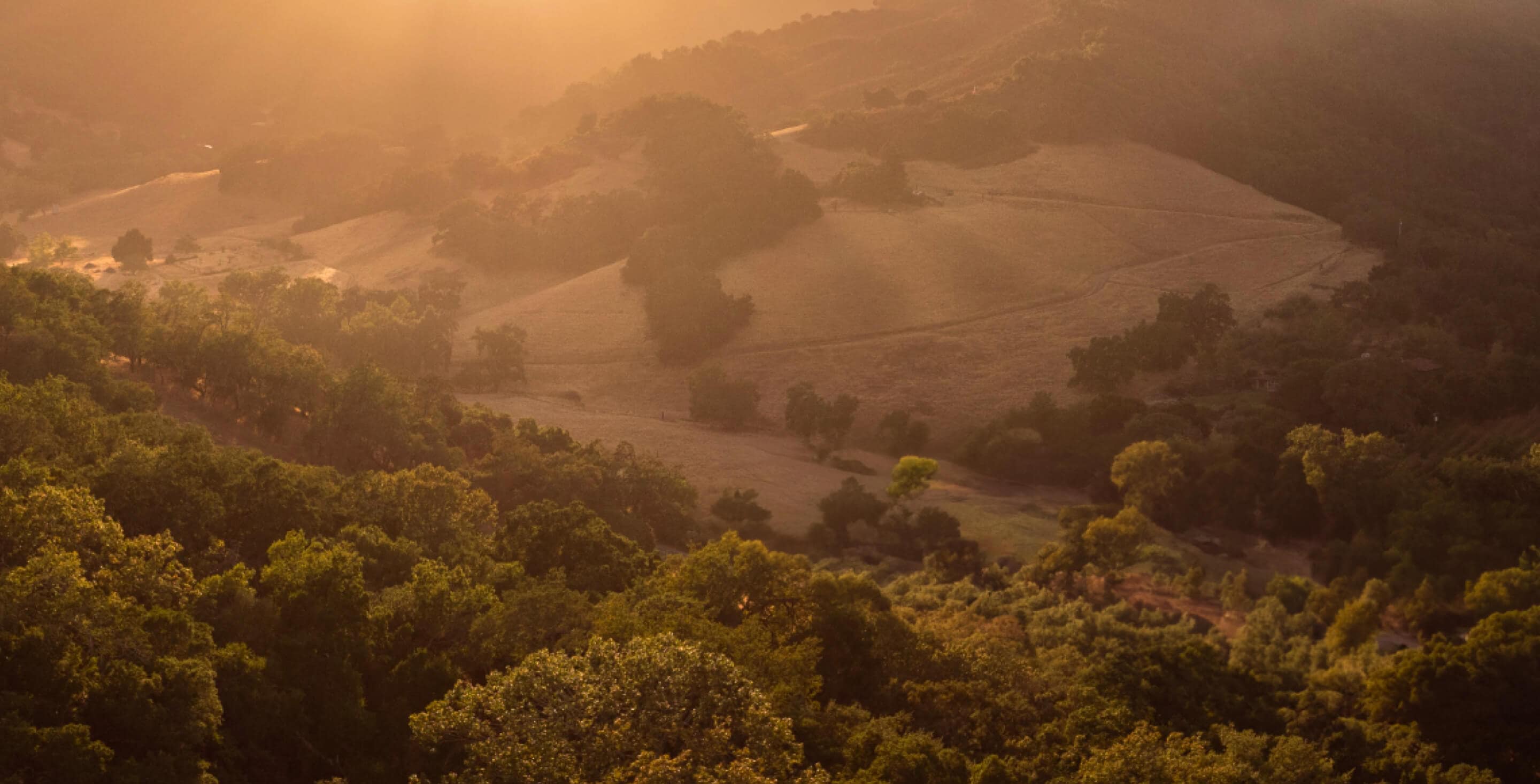 twice tyger landscape golden hour light
