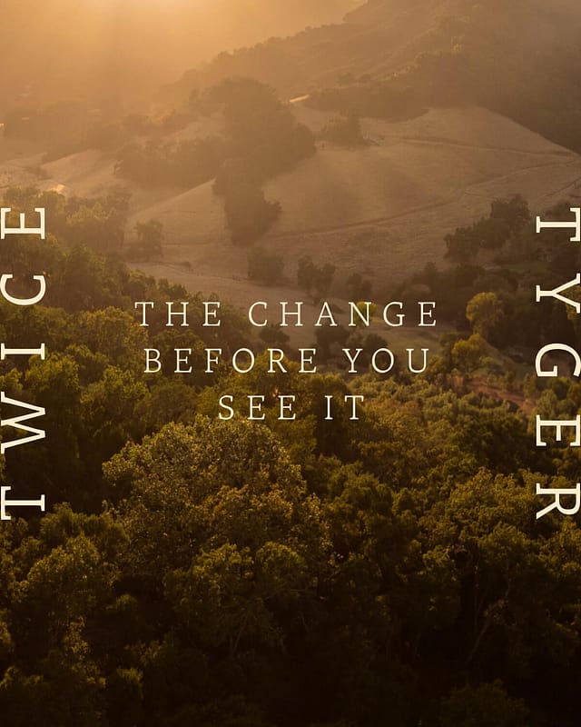 Twice Tyger Digital Image