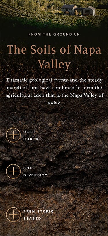 napa mobile soils